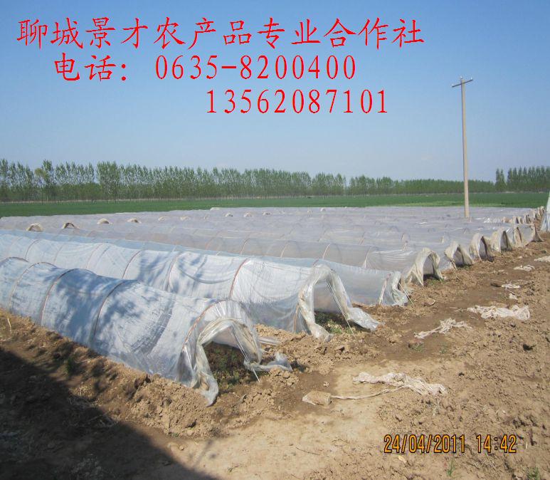 “加”是改革,“减”也是改革。近年来,一系列“加减法”效果明显:宽带提速降费推动互联网产业迅速崛起,化解过剩产能让传统产业焕发生机,减税降费让企业轻装上阵,实施负面清单给市场增添活力……这些政策让利企业群众,拓宽发展空间,激发创新动能,呵护青山绿水,形成正向激励,促进良性循环,有力提升了我国经济发展的质量、效益和水平。