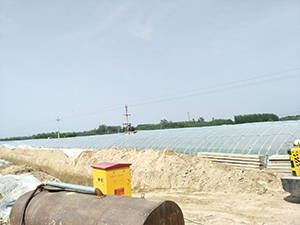 2018年红薯苗紫薯苗繁育基地现在紫薯苗红薯苗价格